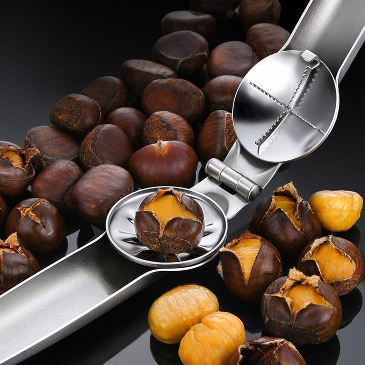 Group of various nuts alongside the stainless steel nut cracker kitchen gadget