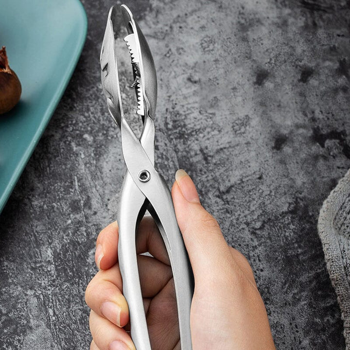 Stainless steel chestnut cracker against a kitchen background, culinary aid