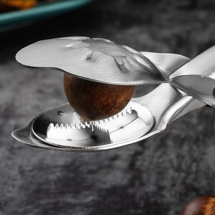 Top-down view of a stainless steel nut cracker, efficient chestnut opener