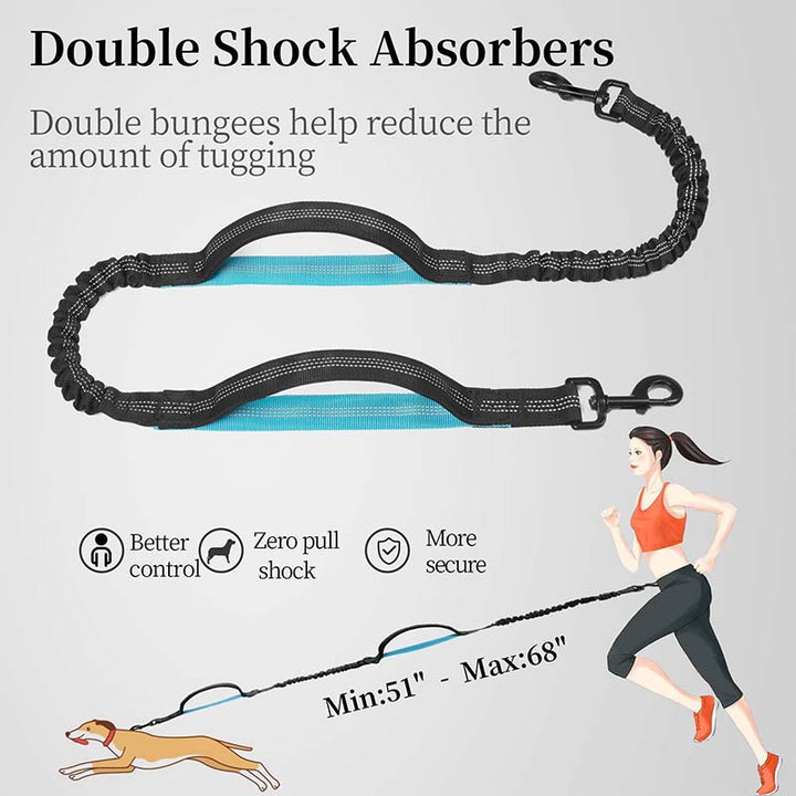 Active dog leash: hands-free design with a comfortable waist belt for pet owners