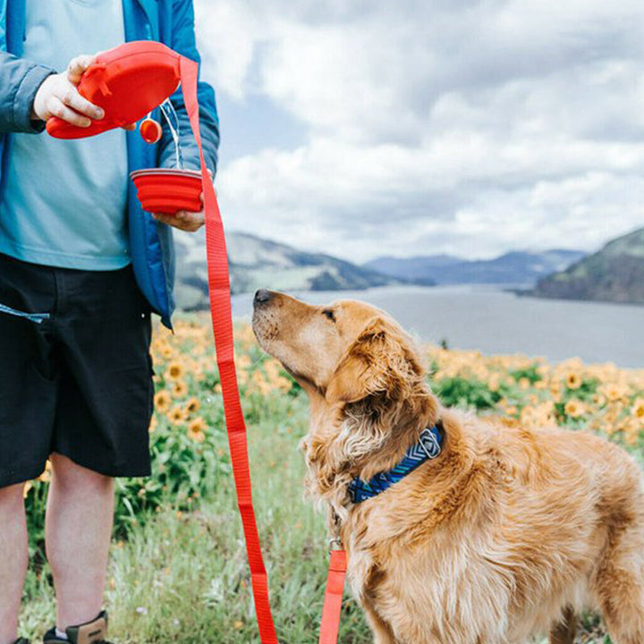 Retractable leash with a small LED light for night time dog walking safety