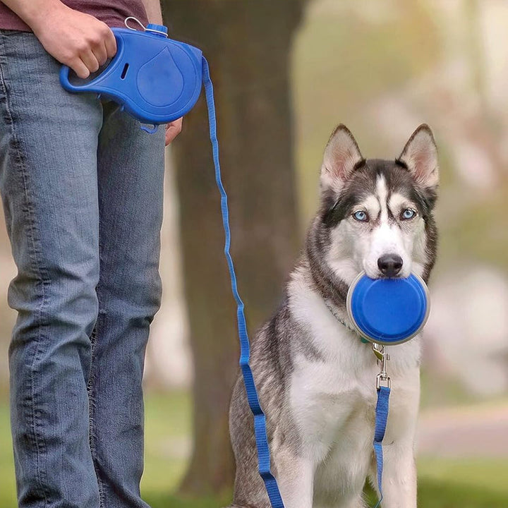 Blue 4-in-1 retractable dog leash showing all features, ideal for dog walking