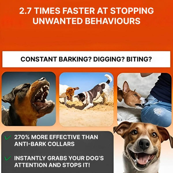 Compact ultrasonic silent trainer for pet behavior and dog obedience.