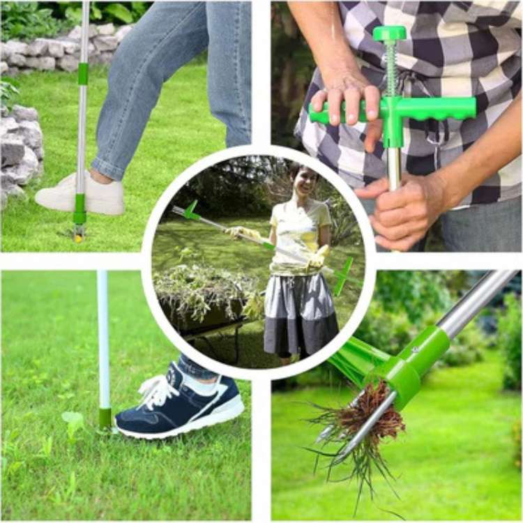 Efficient weed remover extracting roots from your garden. Upright design for clean, pristine lawn care.