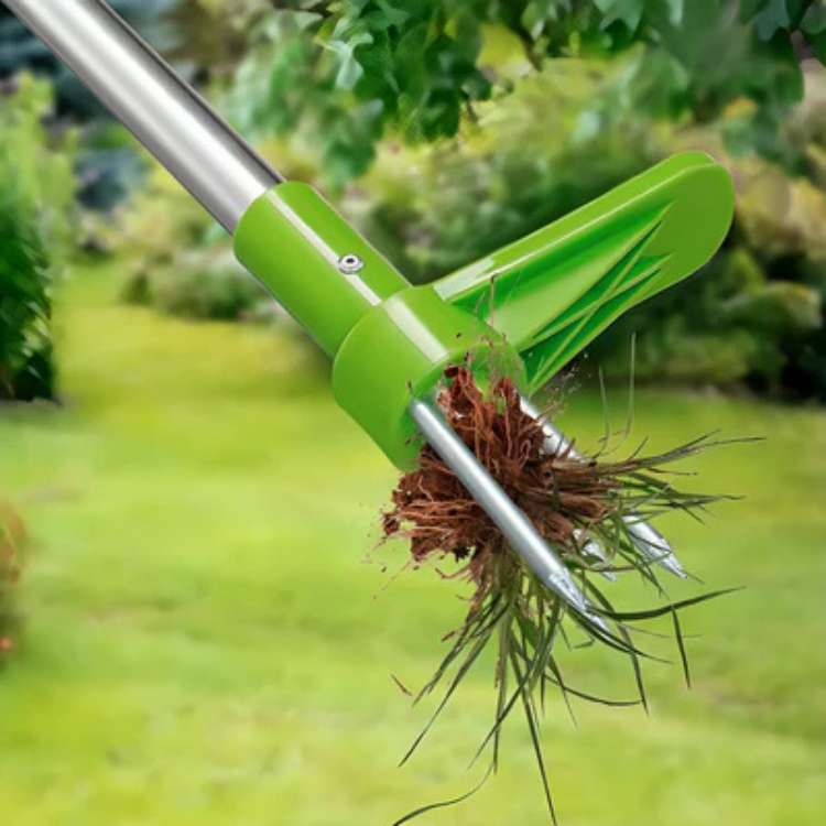 Durable upright weed puller for outdoor gardening, ensuring a pristine, weed-free lawn with minimal effort.