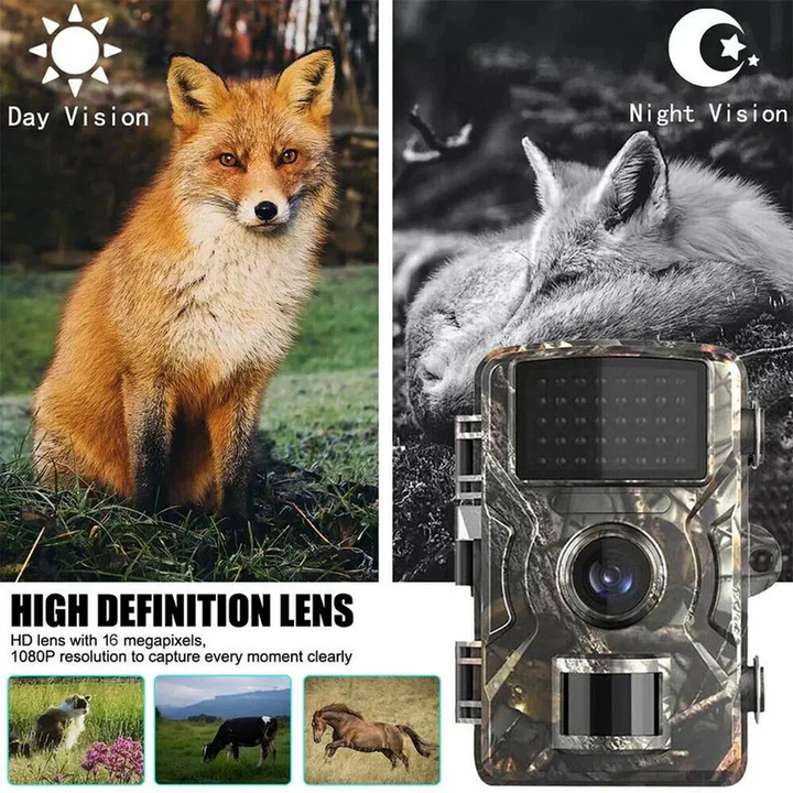 Motion-activated wildlife camera with invisible night vision for discrete animal monitoring & security.