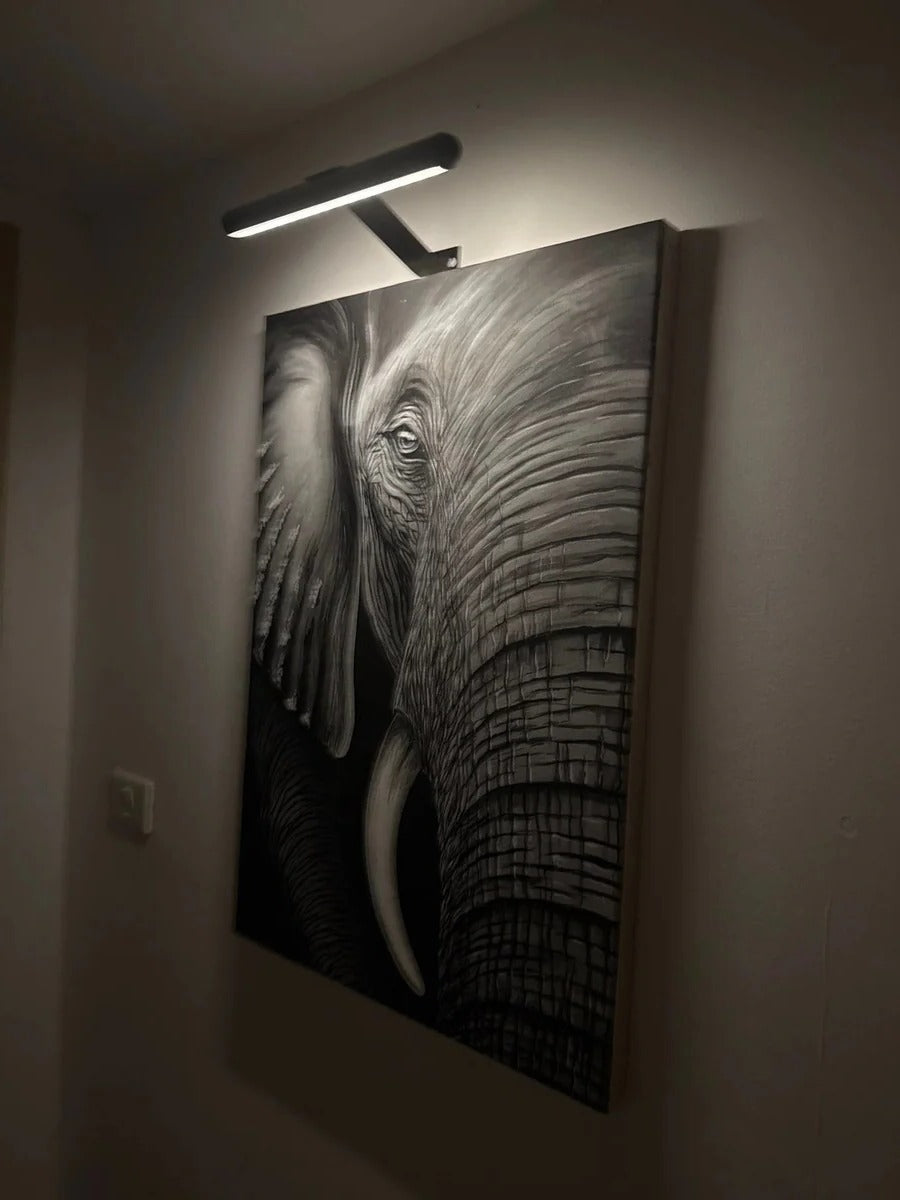 Dimmable wireless LED picture light provides ideal artwork lighting. Rechargeable with USB for modern wall decor.